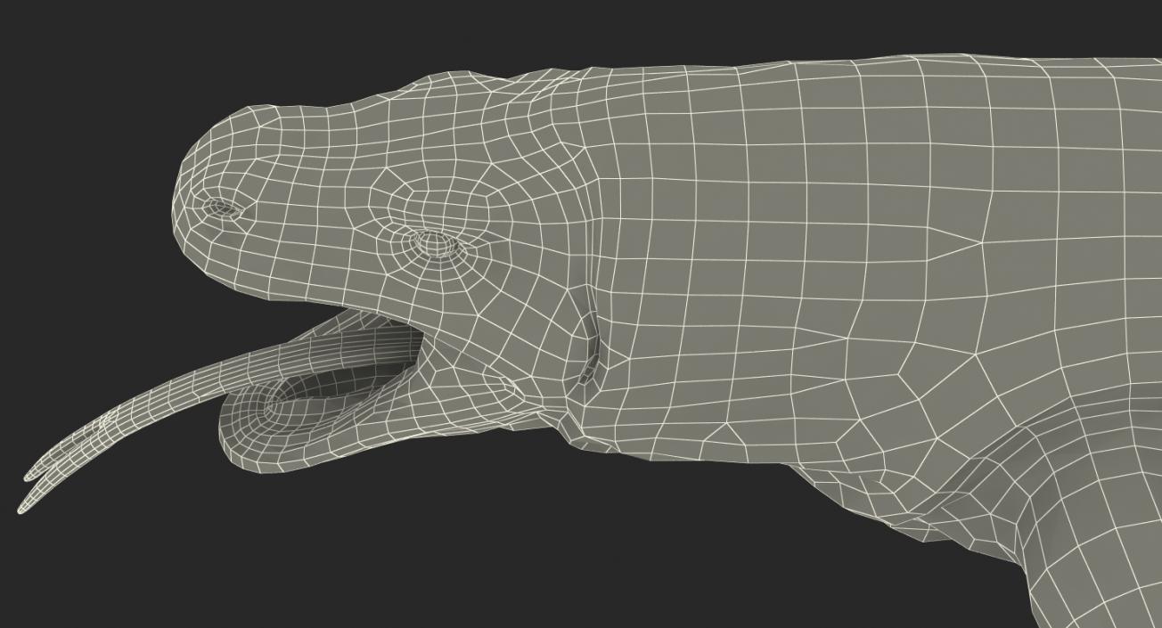 3D Komodo Dragon Neutral Pose