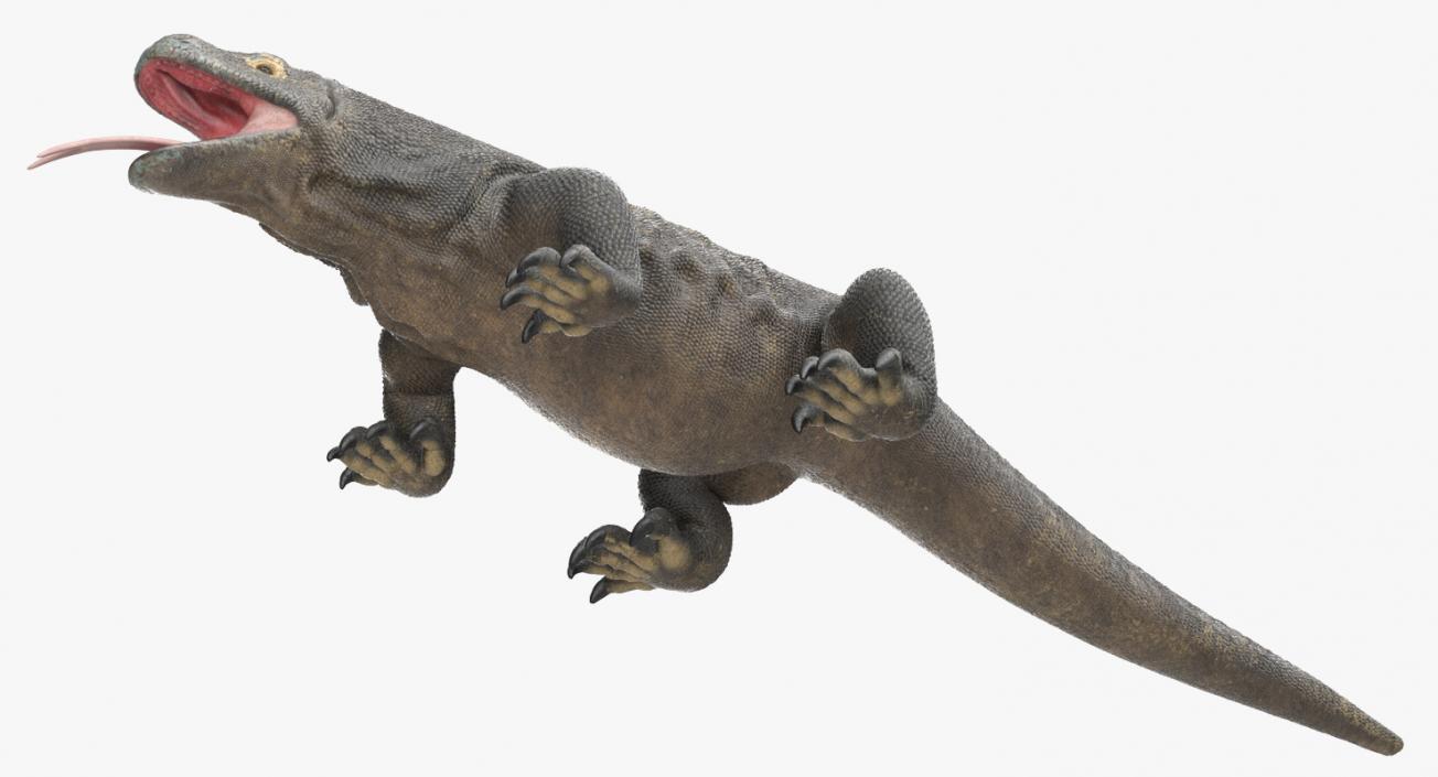 3D Komodo Dragon Neutral Pose