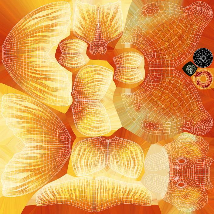 Orange Fancy Fantail Goldfish 3D model