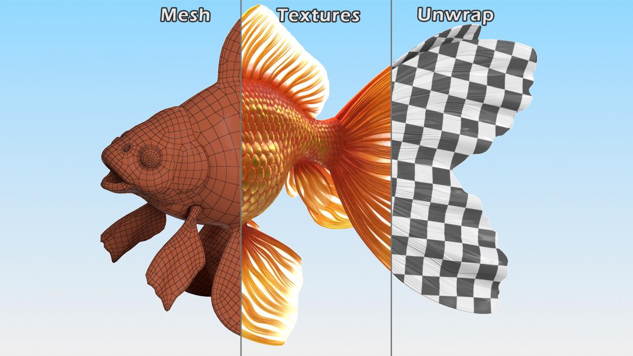 Orange Fancy Fantail Goldfish 3D model