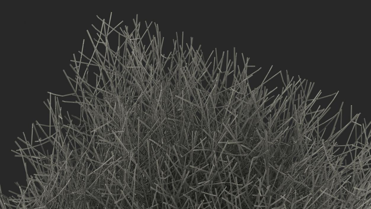 3D Square Bush