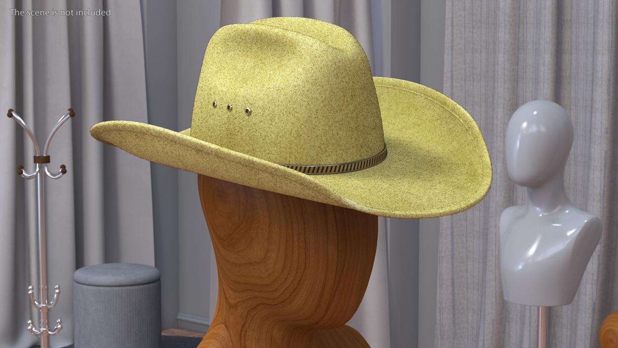 Cowboy Hat Fur 3D model