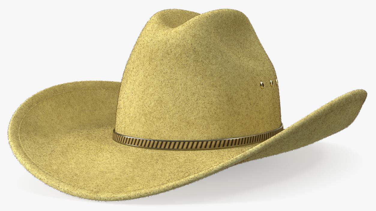 Cowboy Hat Fur 3D model