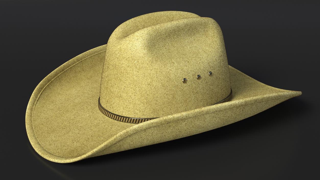 Cowboy Hat Fur 3D model