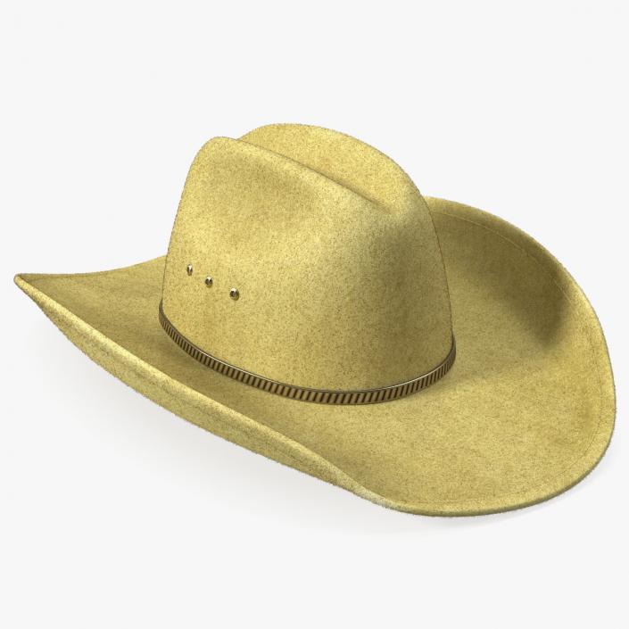 Cowboy Hat Fur 3D model