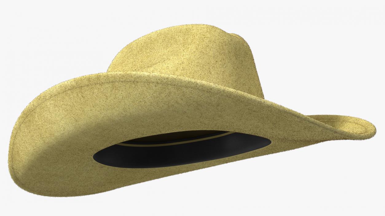 Cowboy Hat Fur 3D model