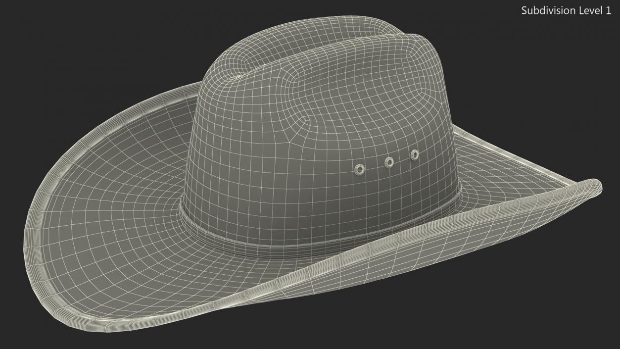 Cowboy Hat Fur 3D model