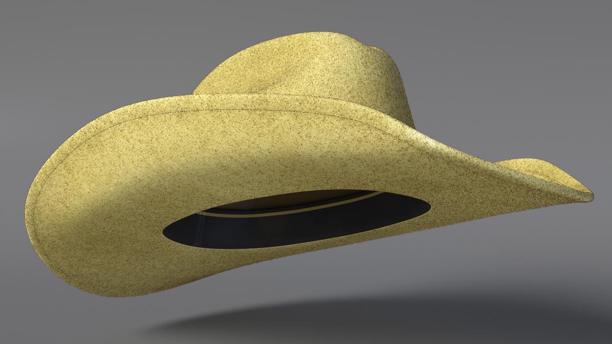 Cowboy Hat Fur 3D model