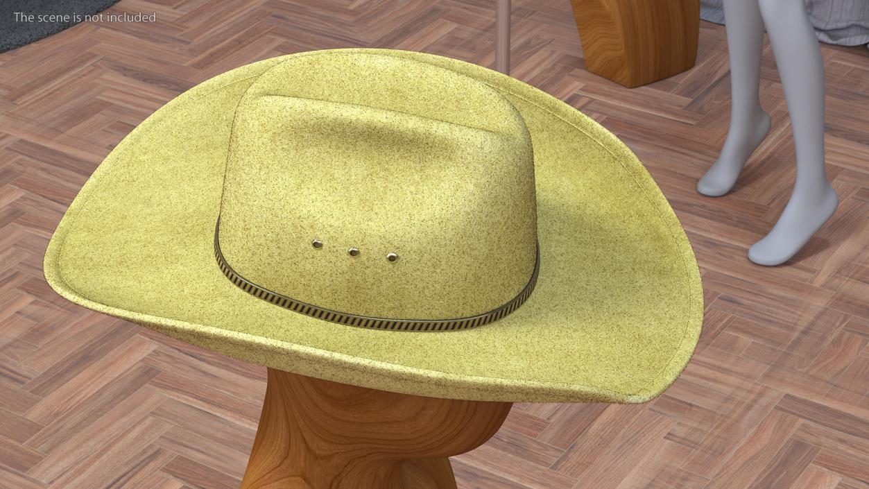 Cowboy Hat Fur 3D model