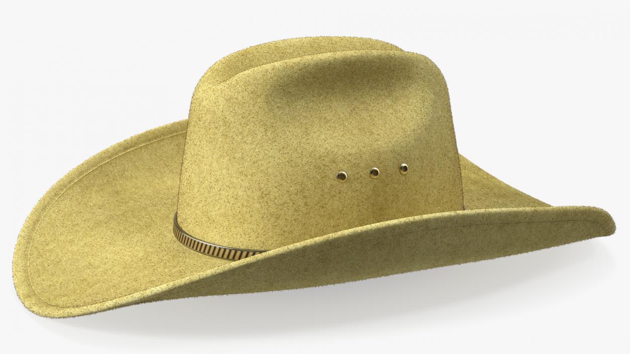 Cowboy Hat Fur 3D model