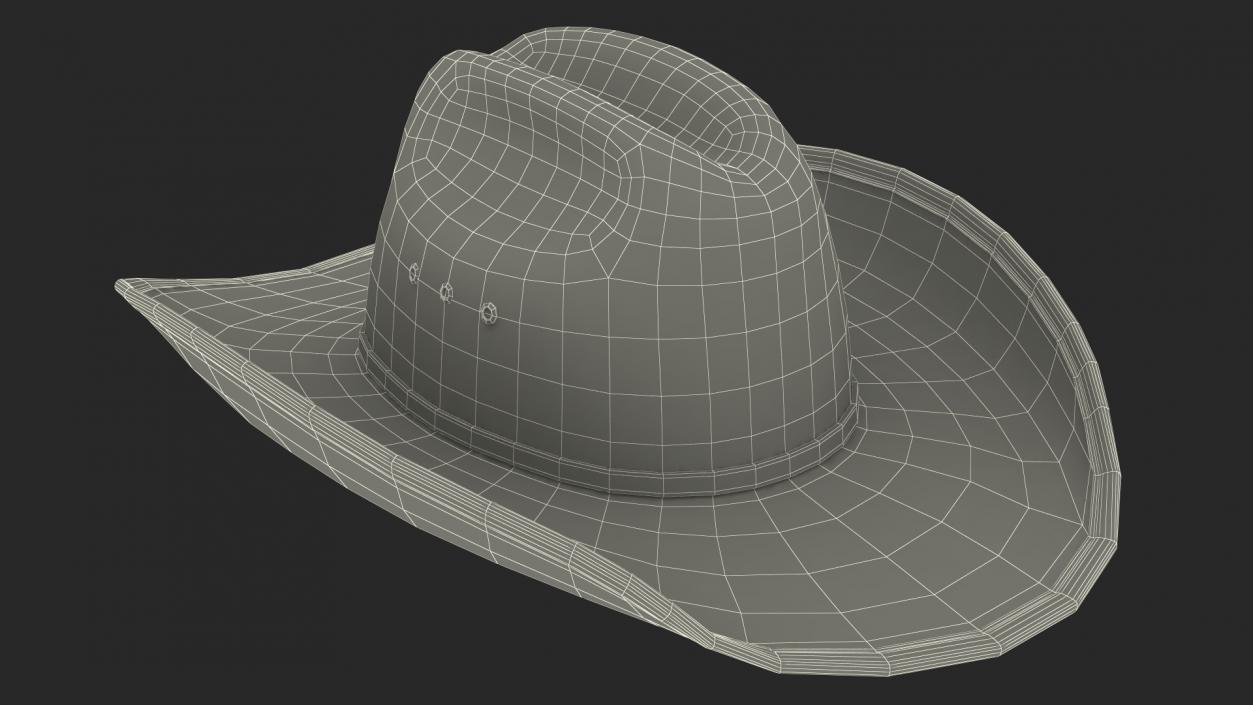 Cowboy Hat Fur 3D model