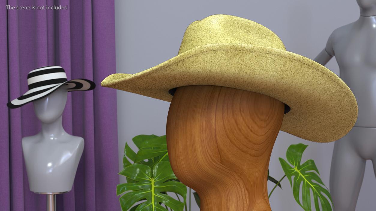 Cowboy Hat Fur 3D model