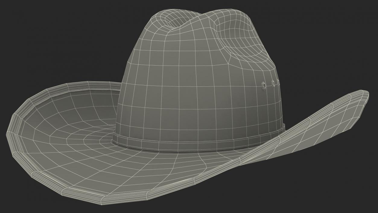 Cowboy Hat Fur 3D model