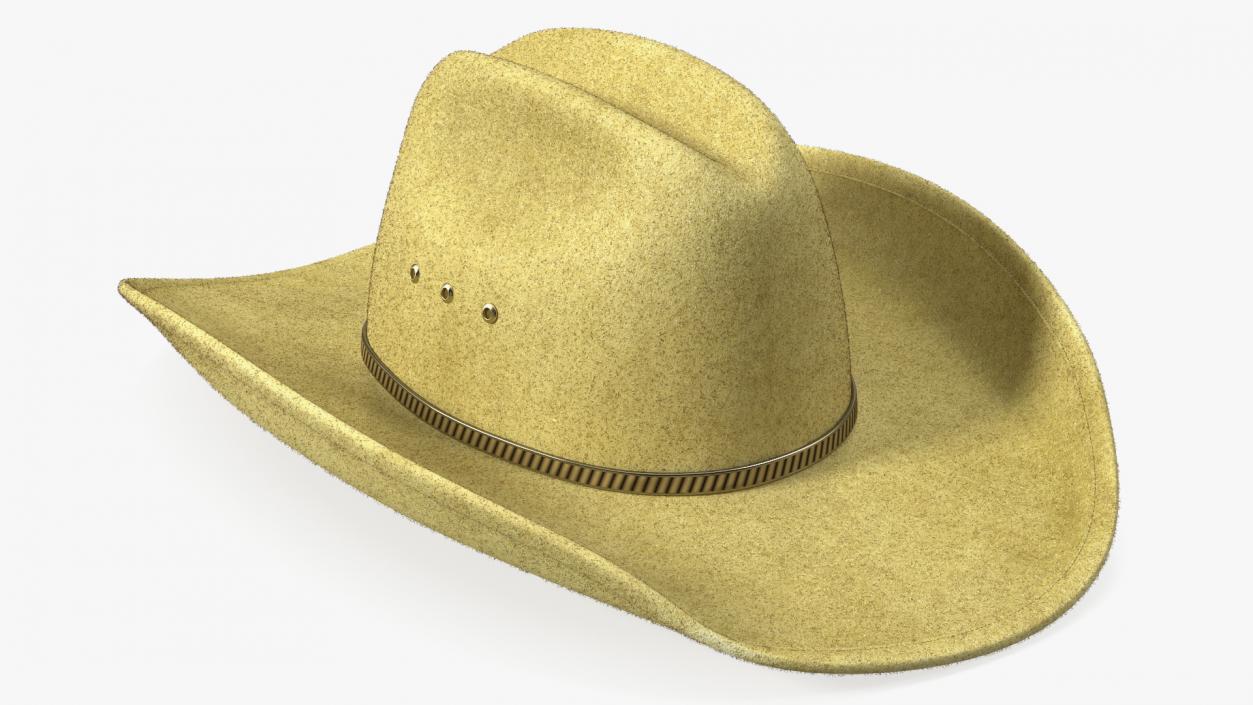 Cowboy Hat Fur 3D model