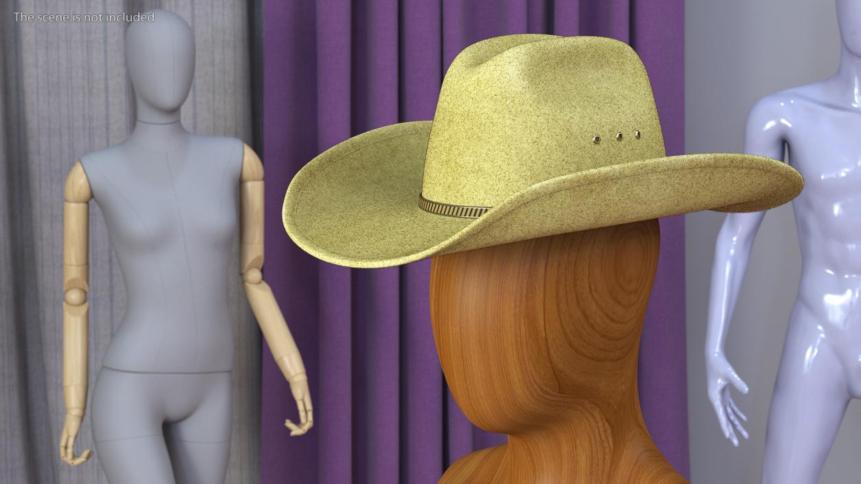 Cowboy Hat Fur 3D model