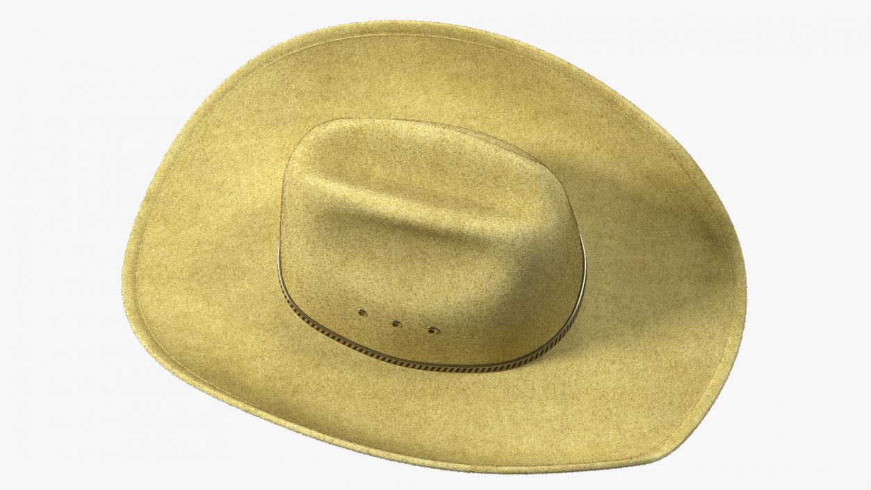 Cowboy Hat Fur 3D model