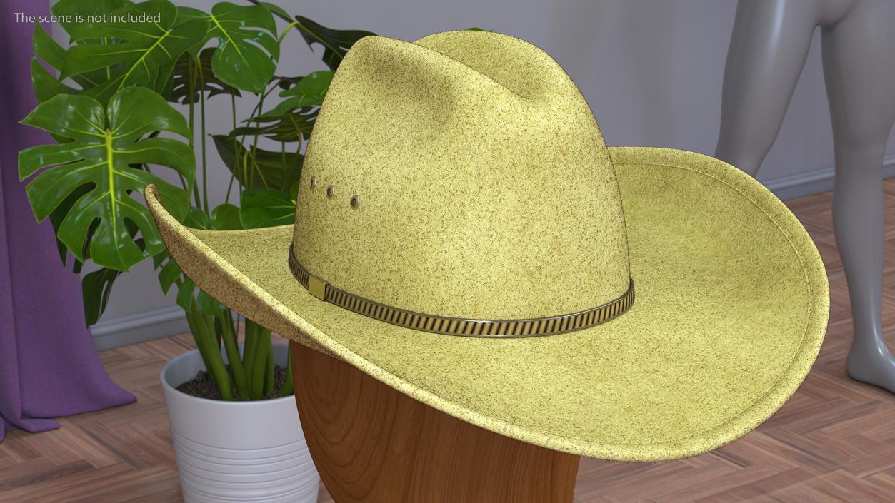 Cowboy Hat Fur 3D model