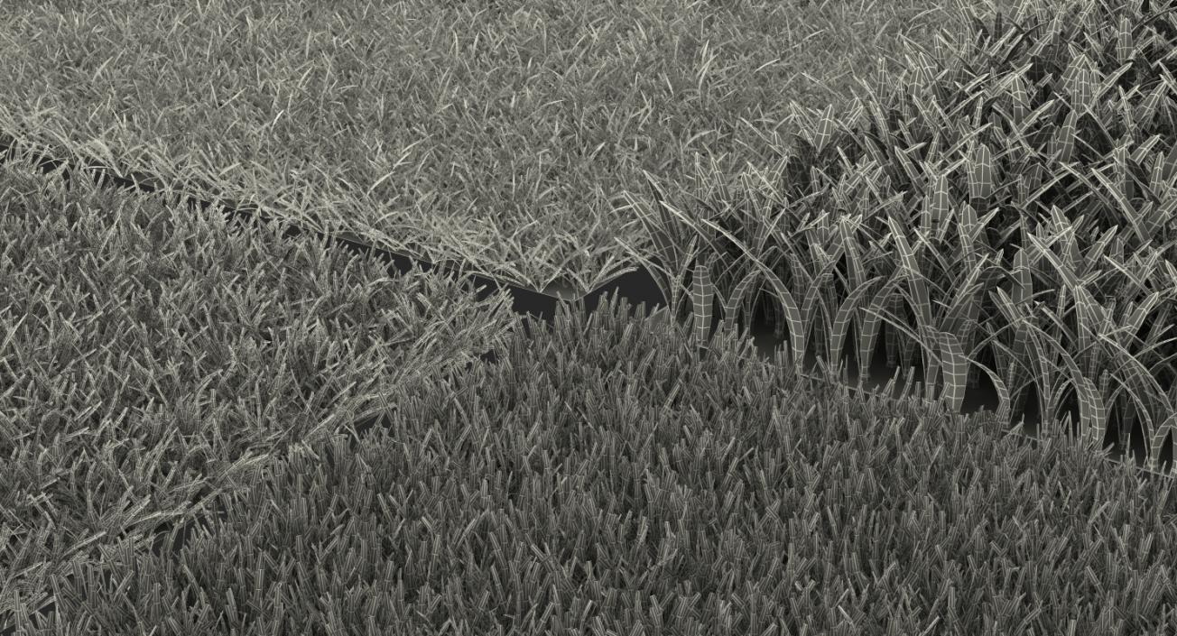 3D model Grass Fields Collection 3