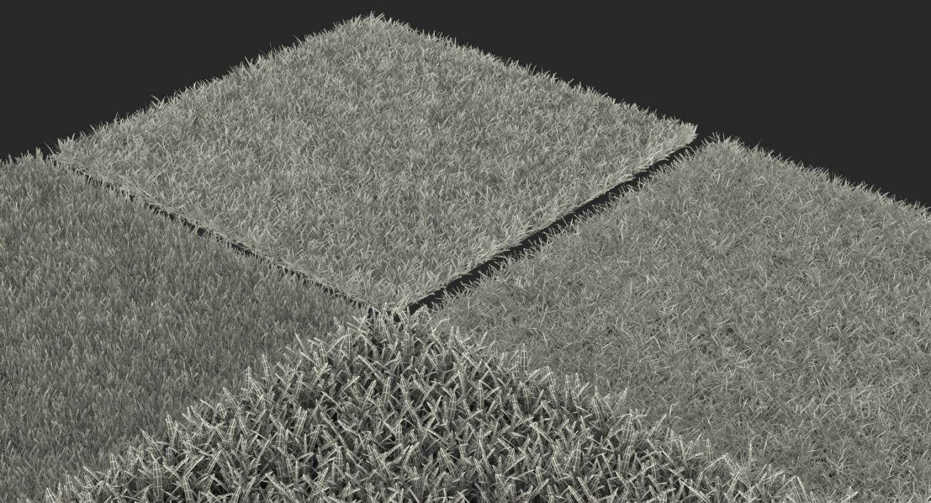 3D model Grass Fields Collection 3