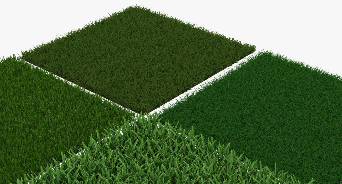 3D model Grass Fields Collection 3