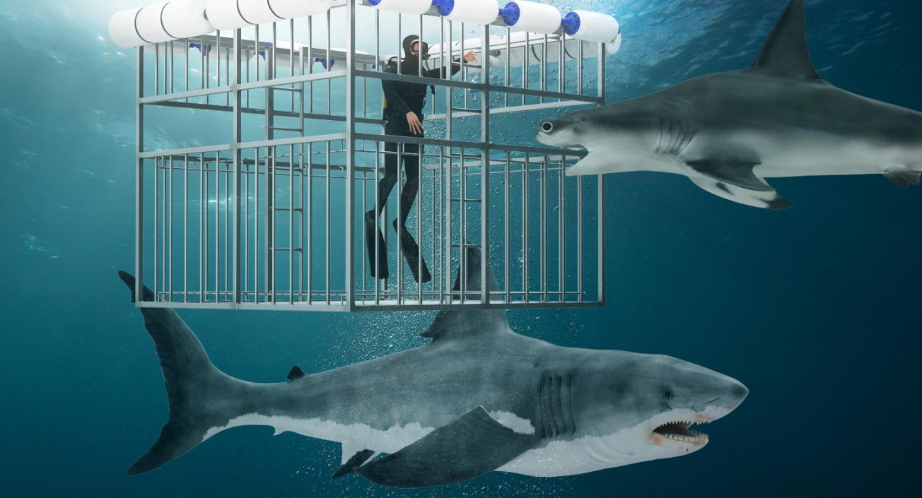 3D Shark Proof Cage