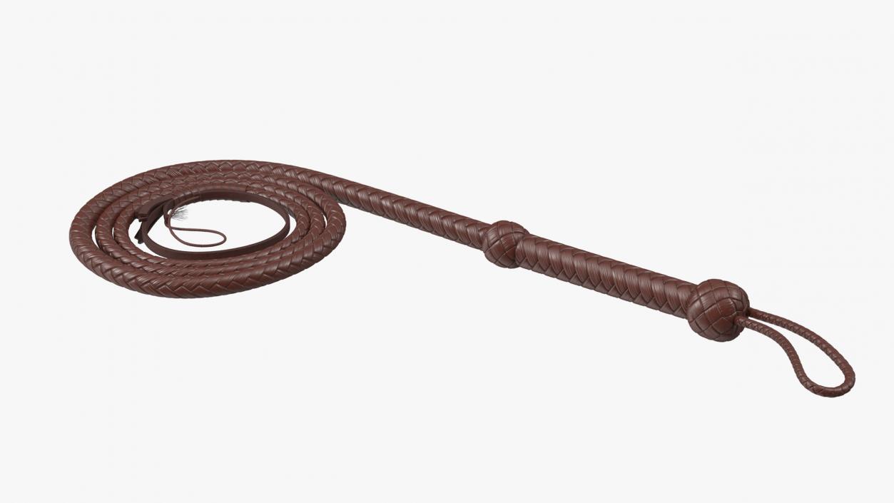 3D Cowboy Whip Brown Rigged for Cinema 4D model