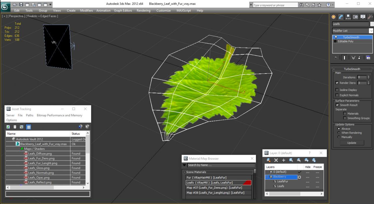 Blackberry Leaf with Fur 3D model