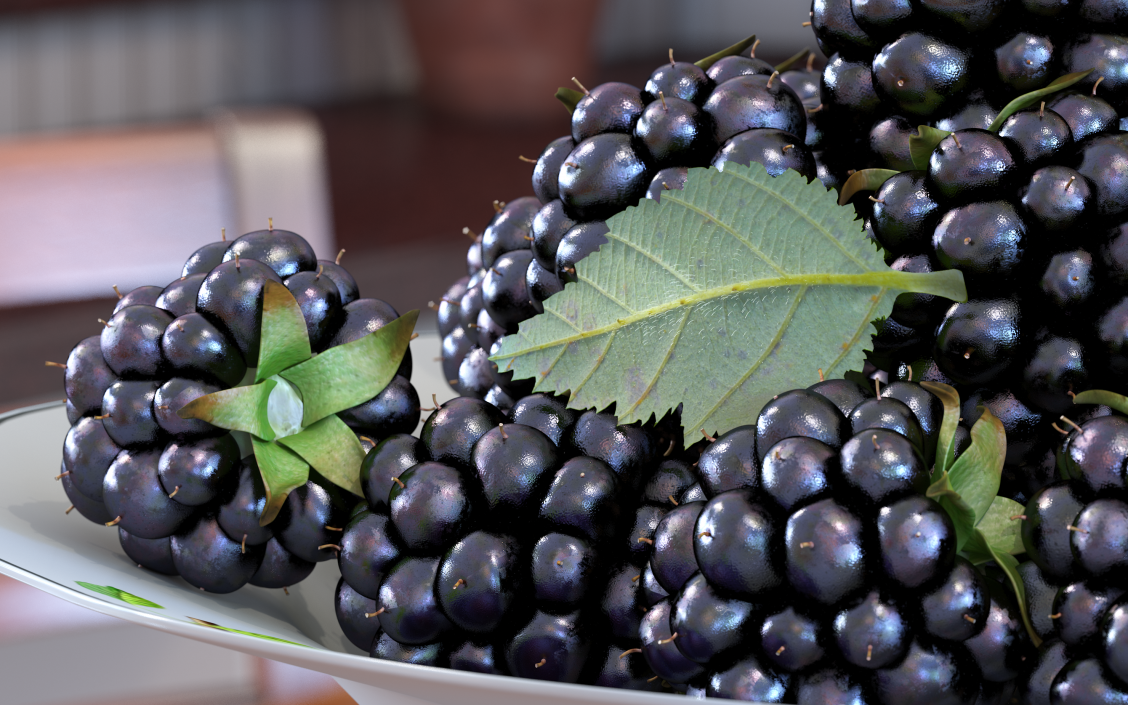 Blackberry Leaf with Fur 3D model