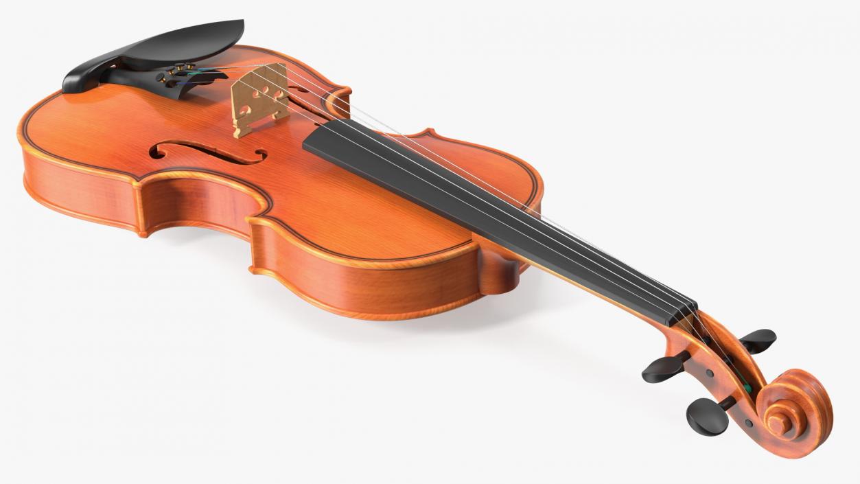 3D Violin Stringed Instrument