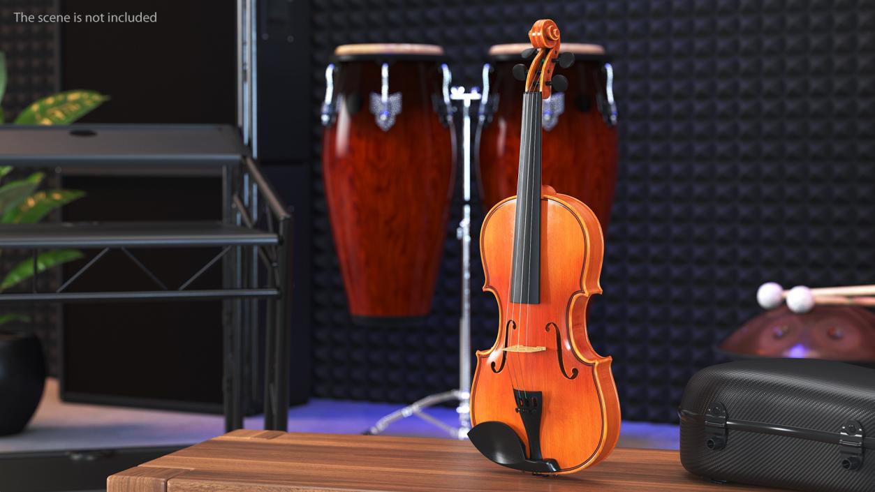 3D Violin Stringed Instrument