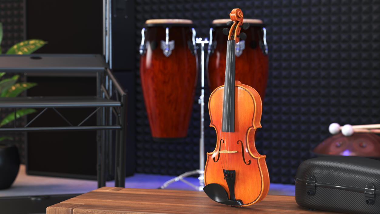 3D Violin Stringed Instrument