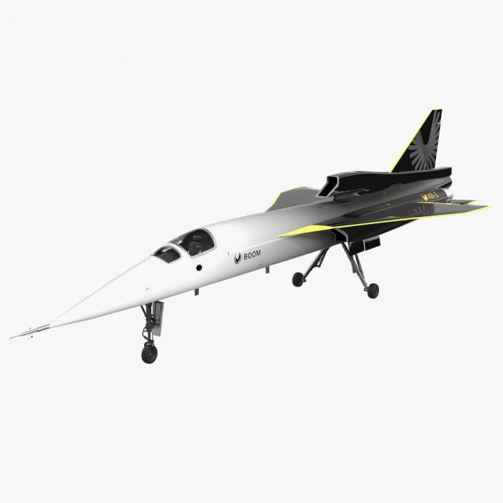 Experimental Supersonic Aircraft Boom XB-1 Rigged 3D model