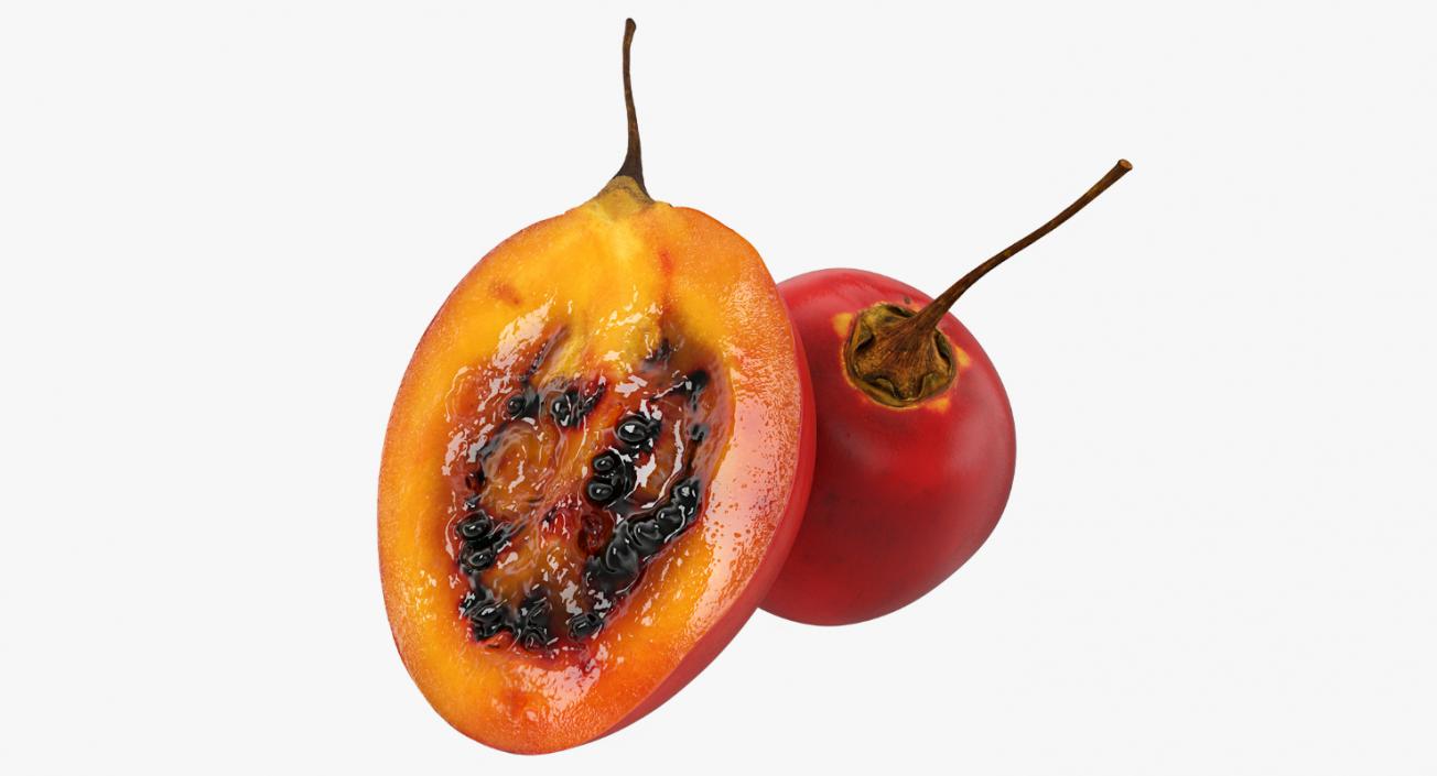 3D Tree Tomato Tamarillo Whole and Half