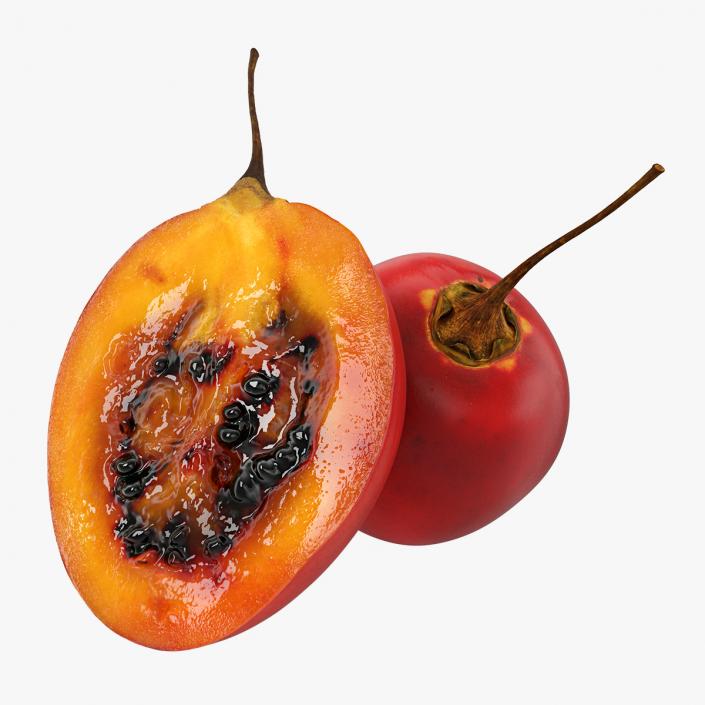 3D Tree Tomato Tamarillo Whole and Half