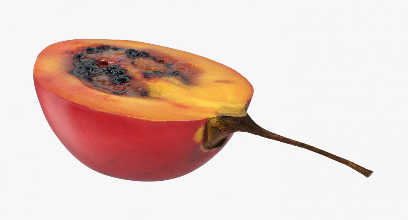 3D Tree Tomato Tamarillo Whole and Half