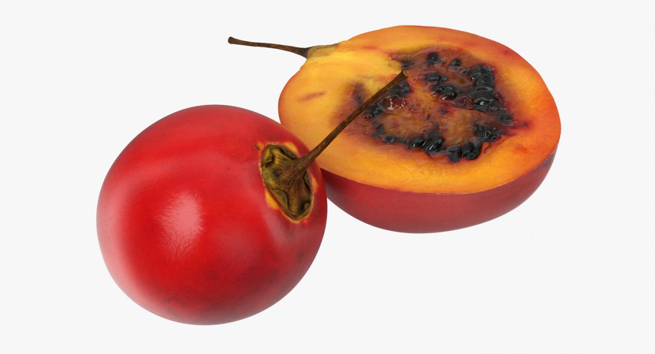 3D Tree Tomato Tamarillo Whole and Half