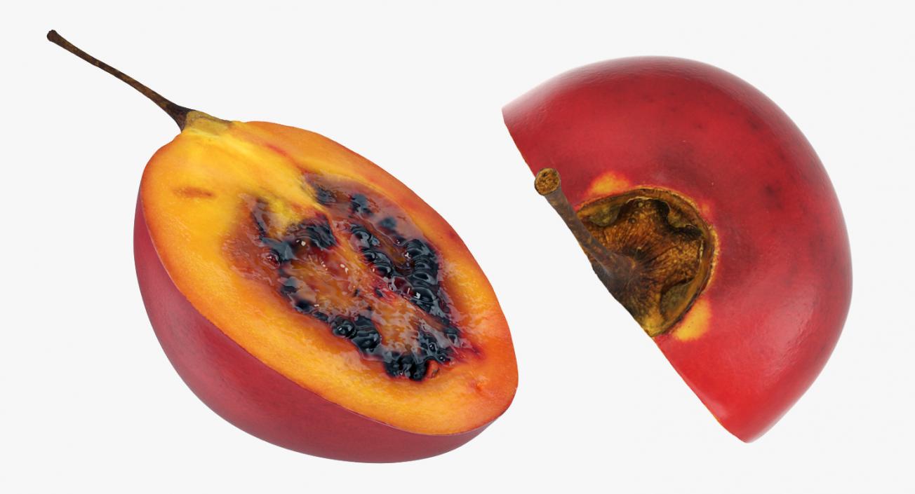 3D Tree Tomato Tamarillo Whole and Half