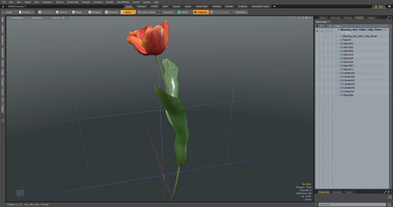 Blooming Red-Yellow Tulip Flower 3D