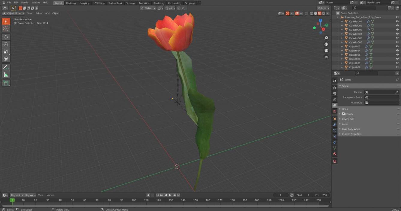 Blooming Red-Yellow Tulip Flower 3D