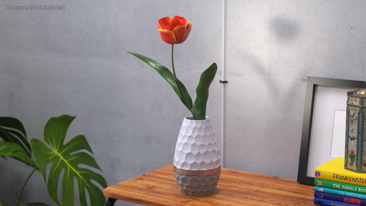 Blooming Red-Yellow Tulip Flower 3D