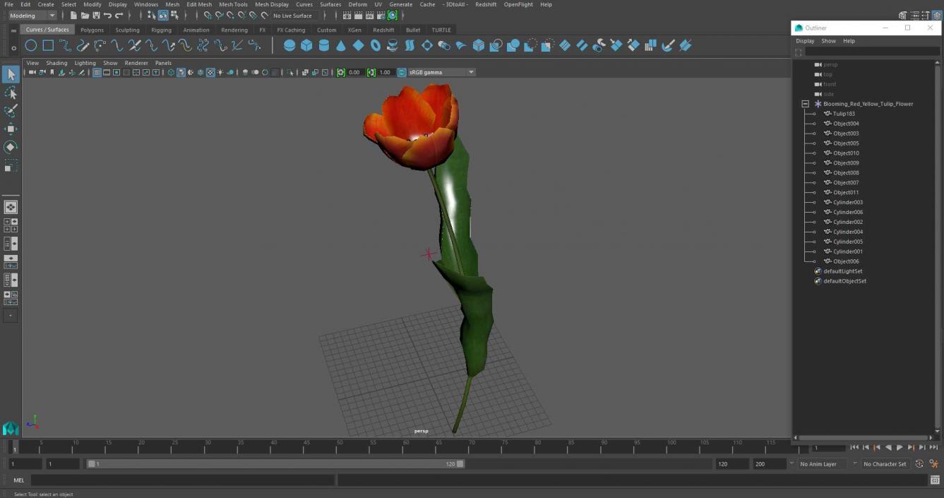 Blooming Red-Yellow Tulip Flower 3D