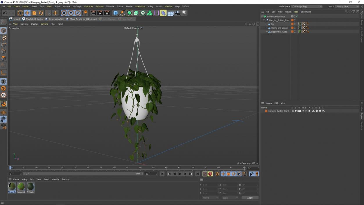 3D model Hanging Potted Plant