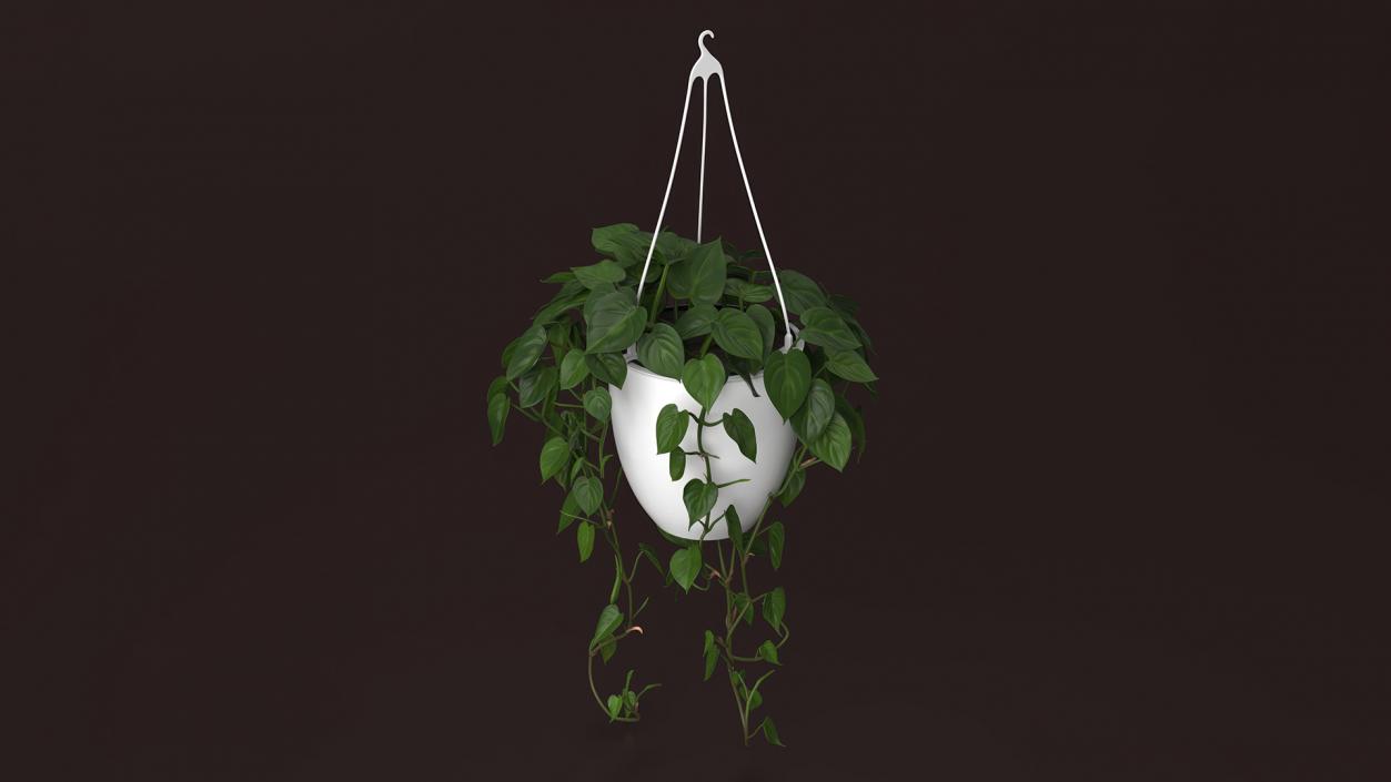 3D model Hanging Potted Plant