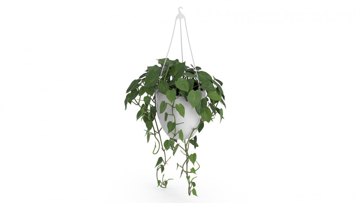 3D model Hanging Potted Plant