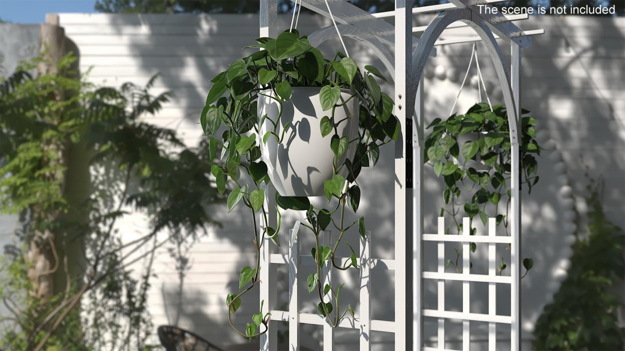 3D model Hanging Potted Plant