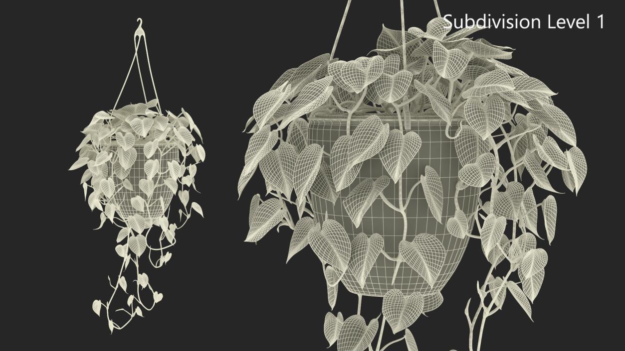 3D model Hanging Potted Plant