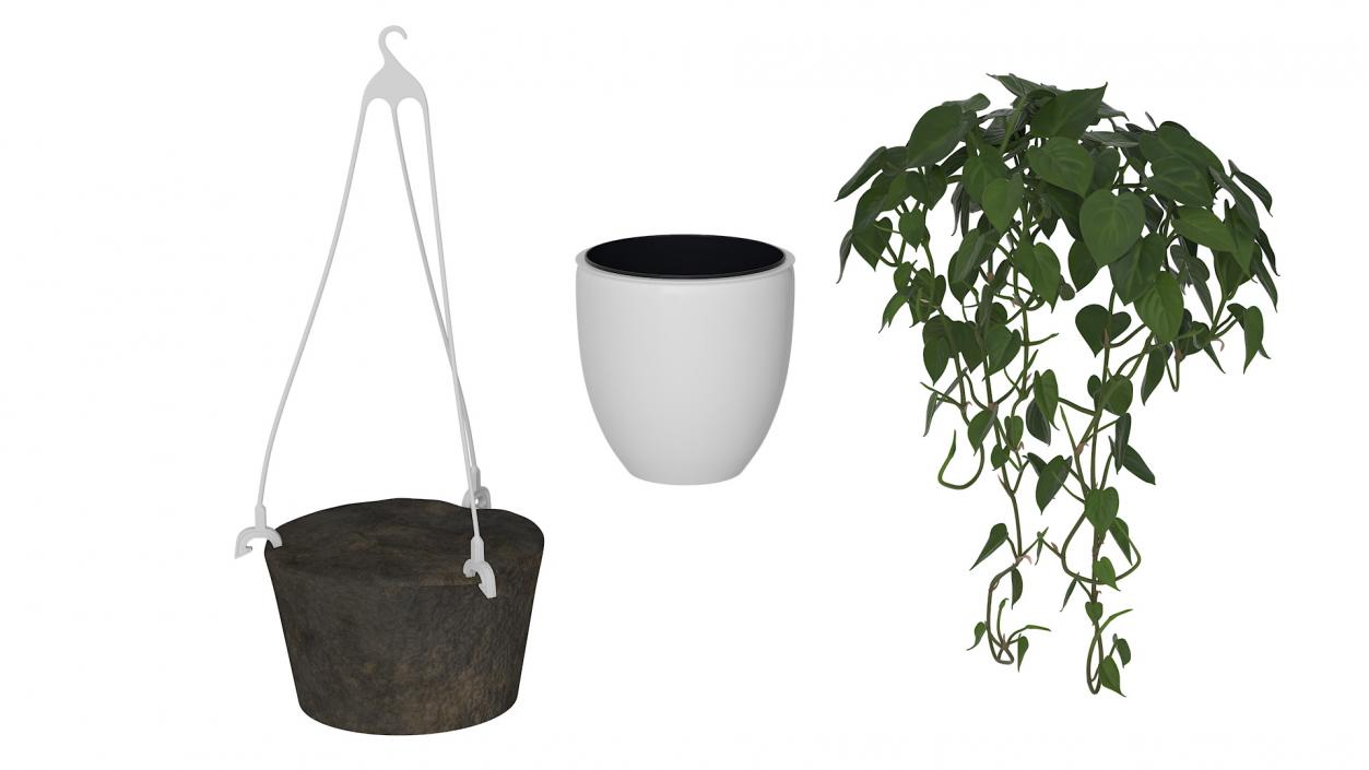 3D model Hanging Potted Plant