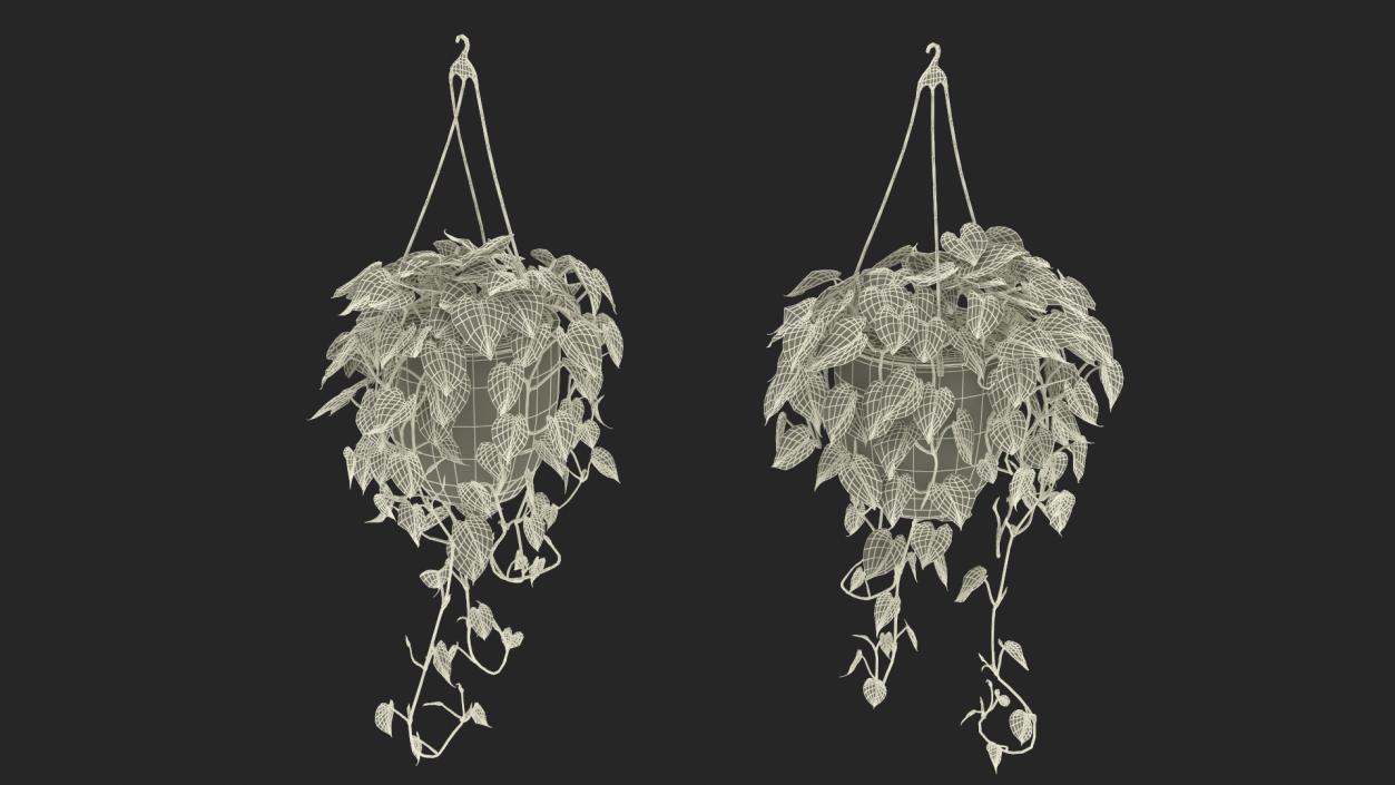 3D model Hanging Potted Plant