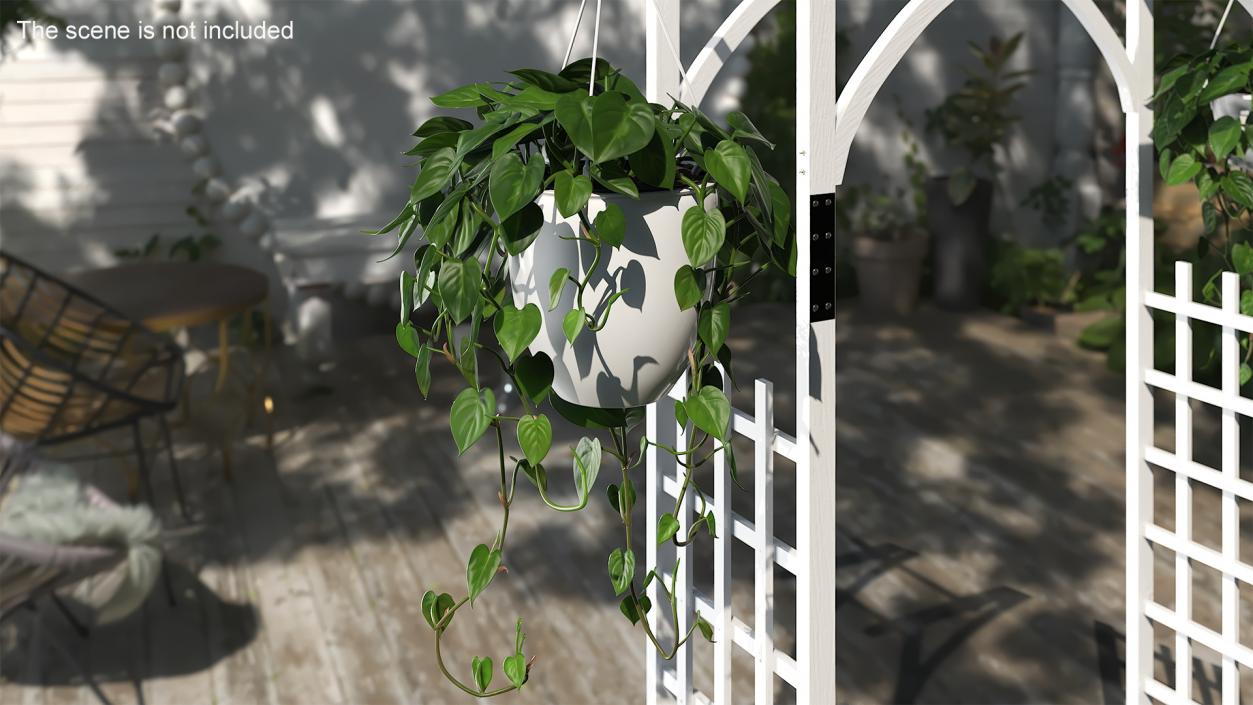 3D model Hanging Potted Plant