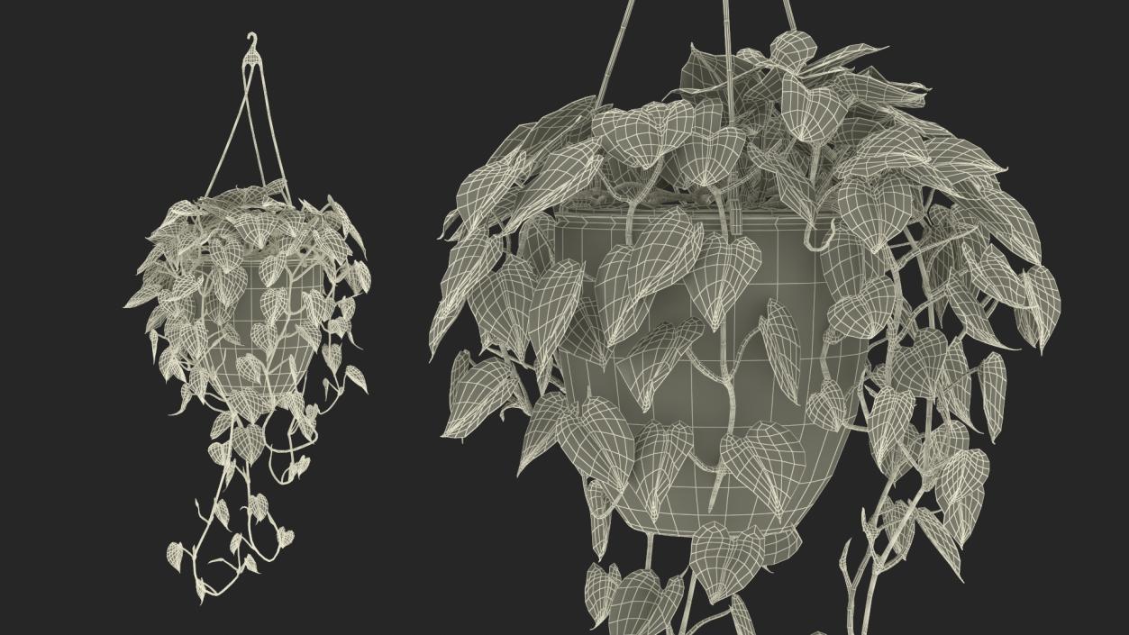 3D model Hanging Potted Plant